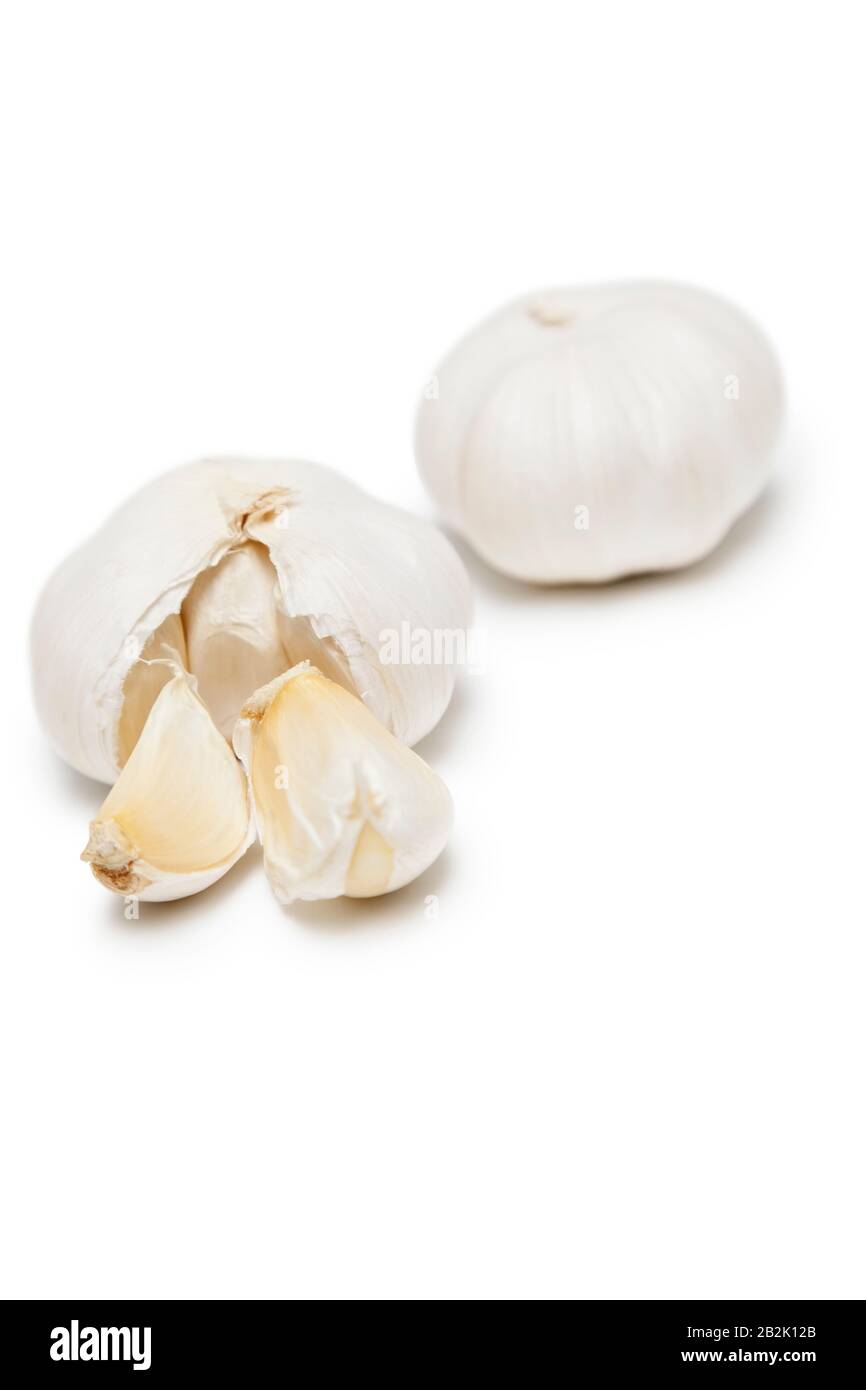 Garlic over white background Stock Photo