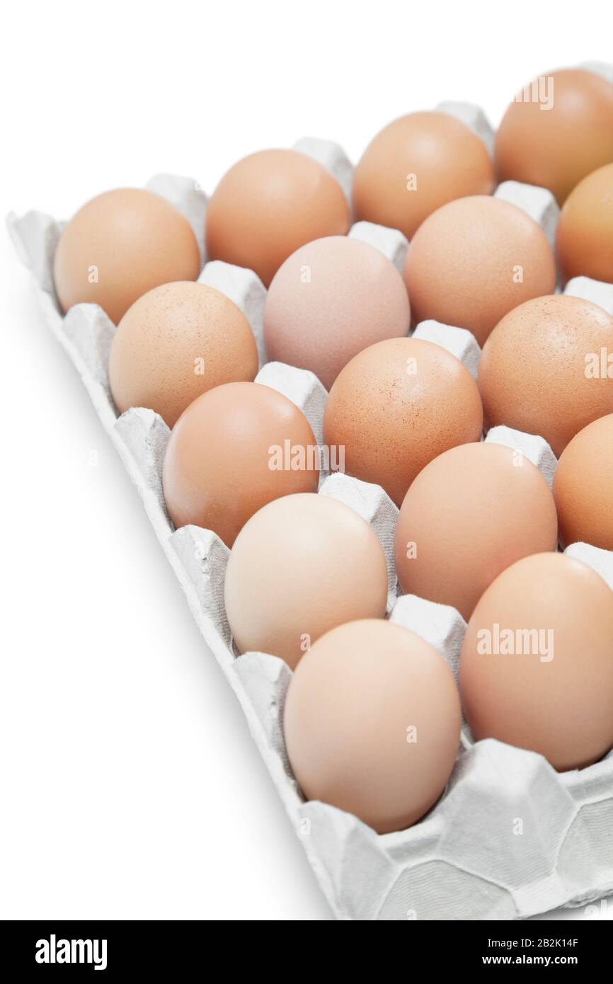 Brown eggs arranged in carton over white background Stock Photo