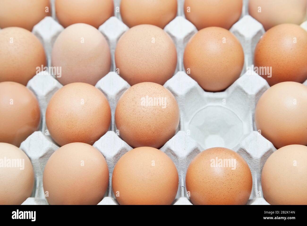 Full-frame shot of brown eggs in carton with empty block Stock Photo