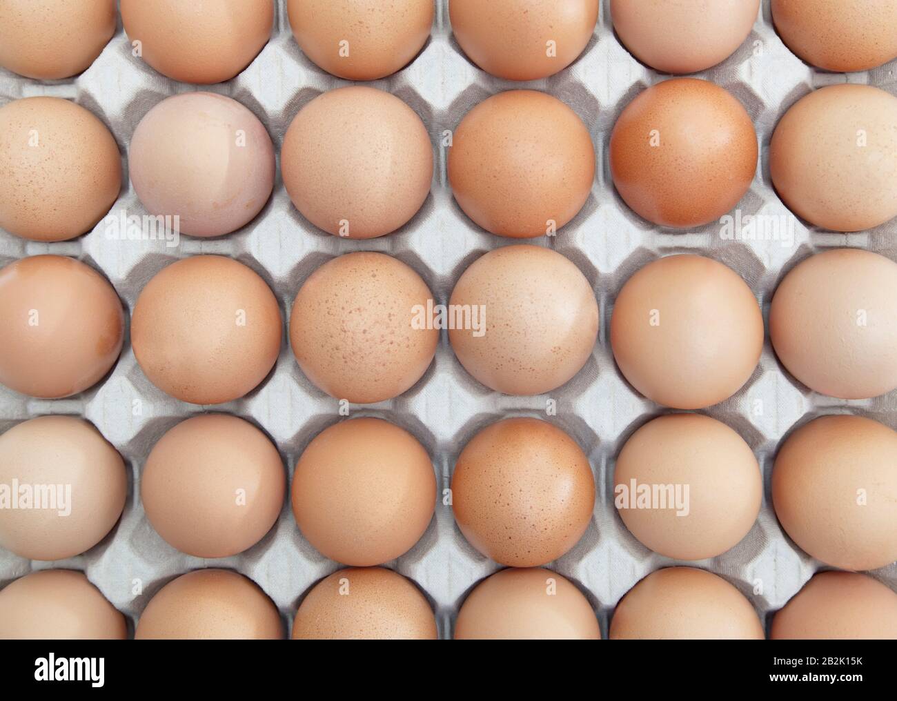 Full-Frame shot of brown eggs arranged in carton Stock Photo