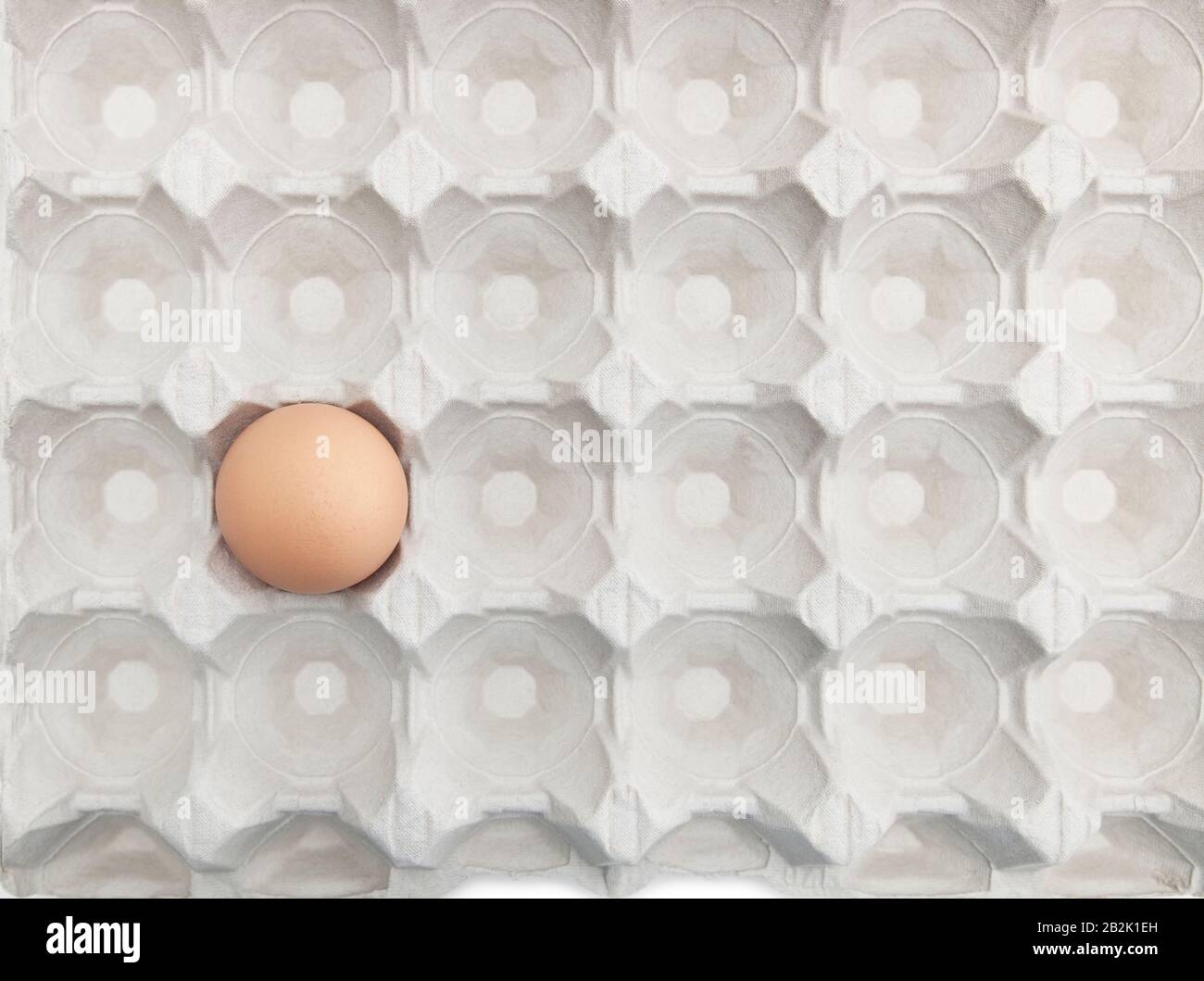 One brown egg in an empty carton Stock Photo