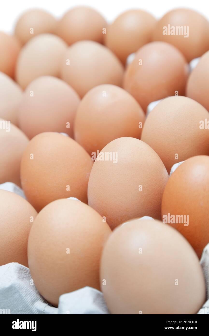 Close-up of brown eggs arranged in carton Stock Photo