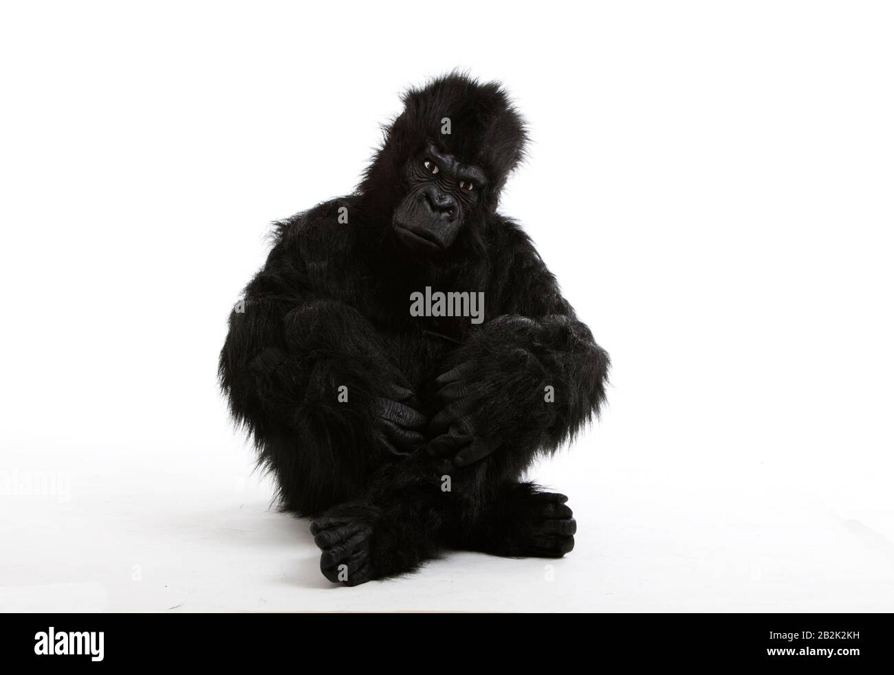Young man in gorilla costume sitting on floor over white background Stock Photo