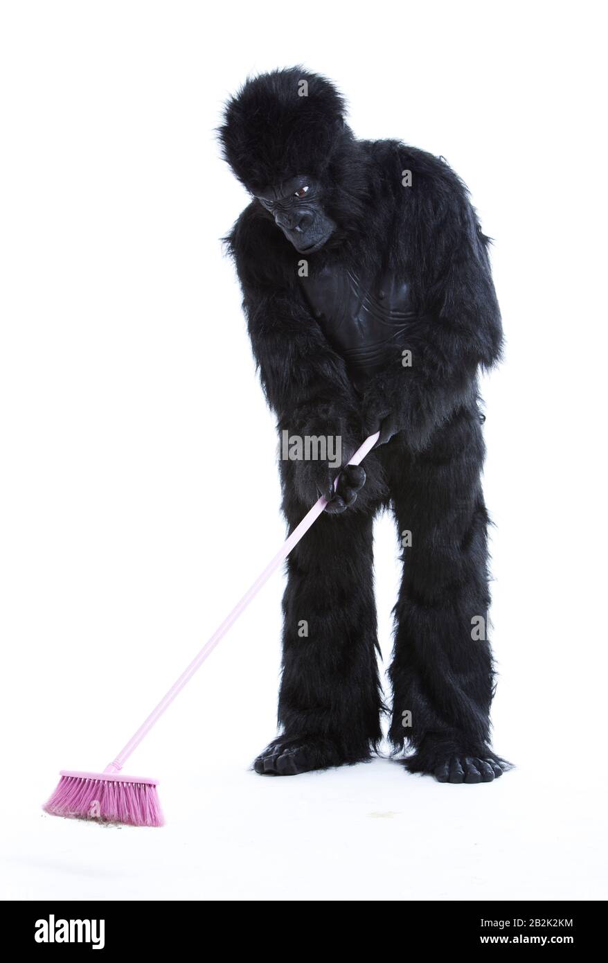 Young man in gorilla costume sweeping the floor over white background Stock Photo