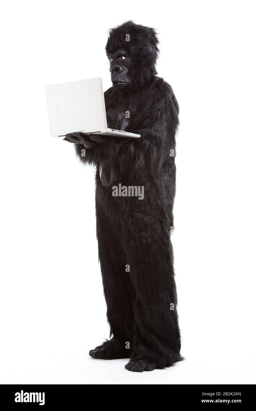 Young man in gorilla costume using laptop against white background Stock Photo