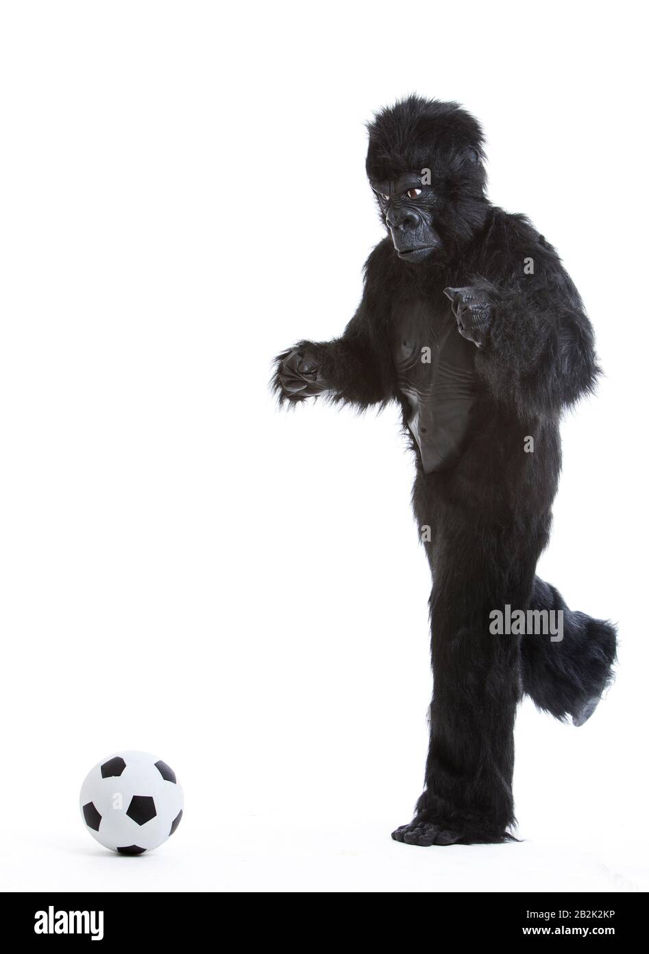 Young man in gorilla costume kicking soccer ball against white background Stock Photo