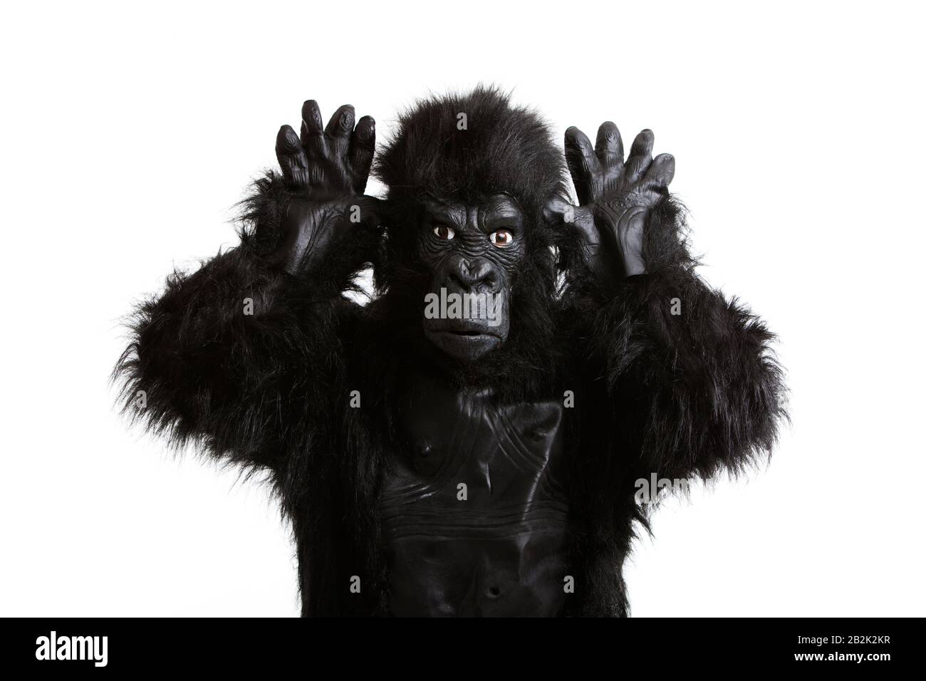 Young man in a gorilla costume making funny face against white background Stock Photo