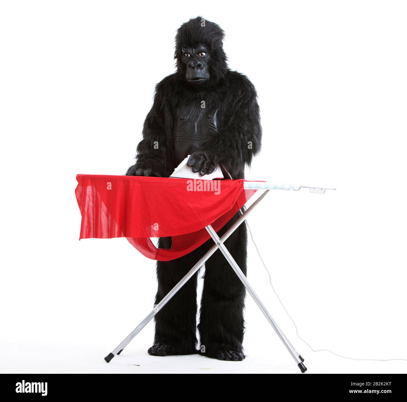 Young man in gorilla costume ironing red cloth against white background Stock Photo