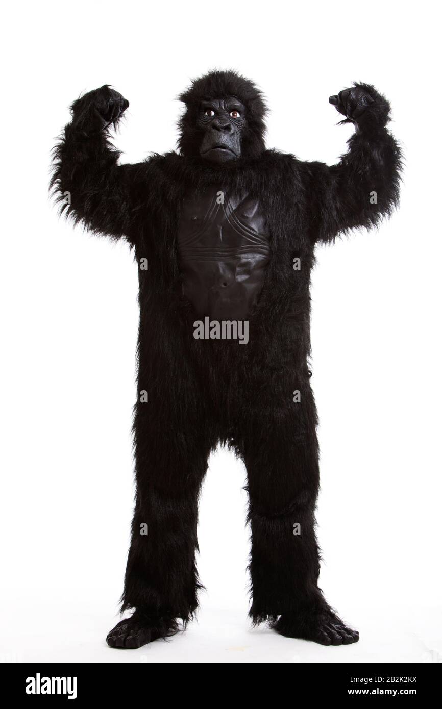 Young man in a gorilla costume flexing muscles against white background Stock Photo