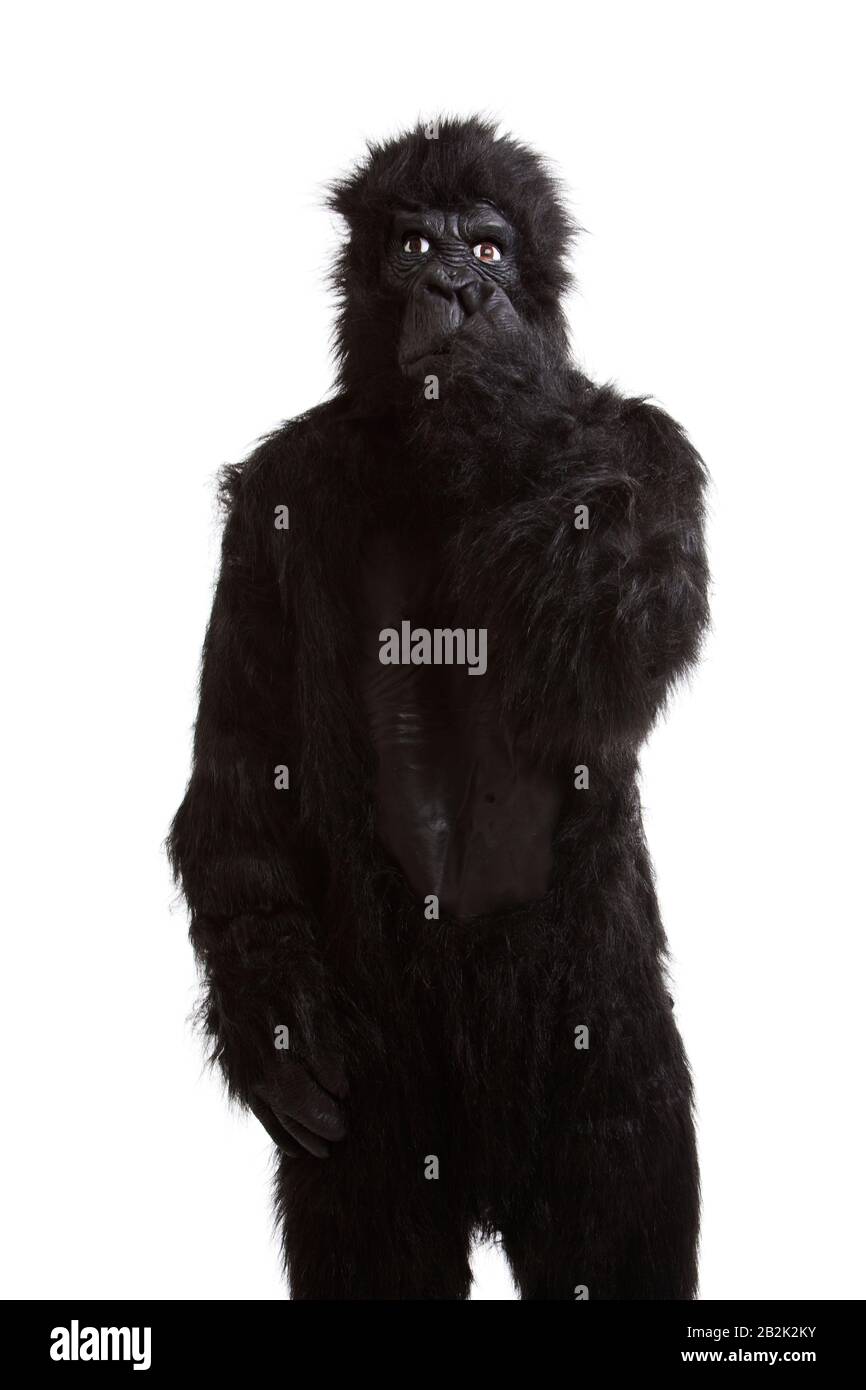 Young man in a gorilla costume picking his nose against white background Stock Photo