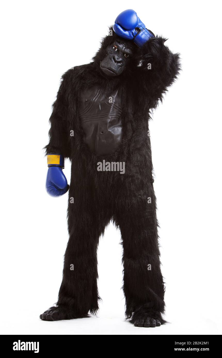 Tired young man in gorilla costume and boxing gloves against white background Stock Photo