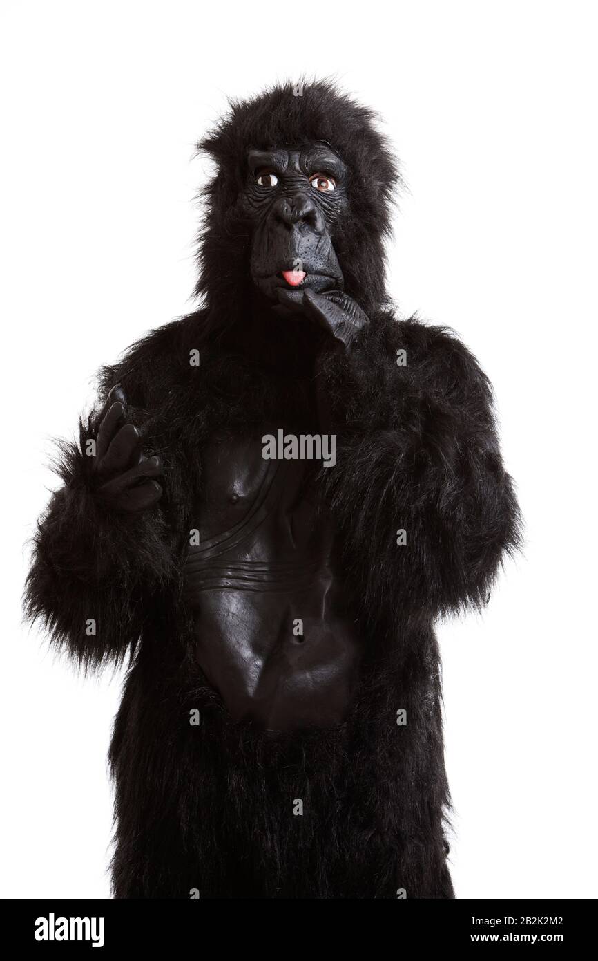 Young man in a gorilla costume sticking out his tongue against white background Stock Photo