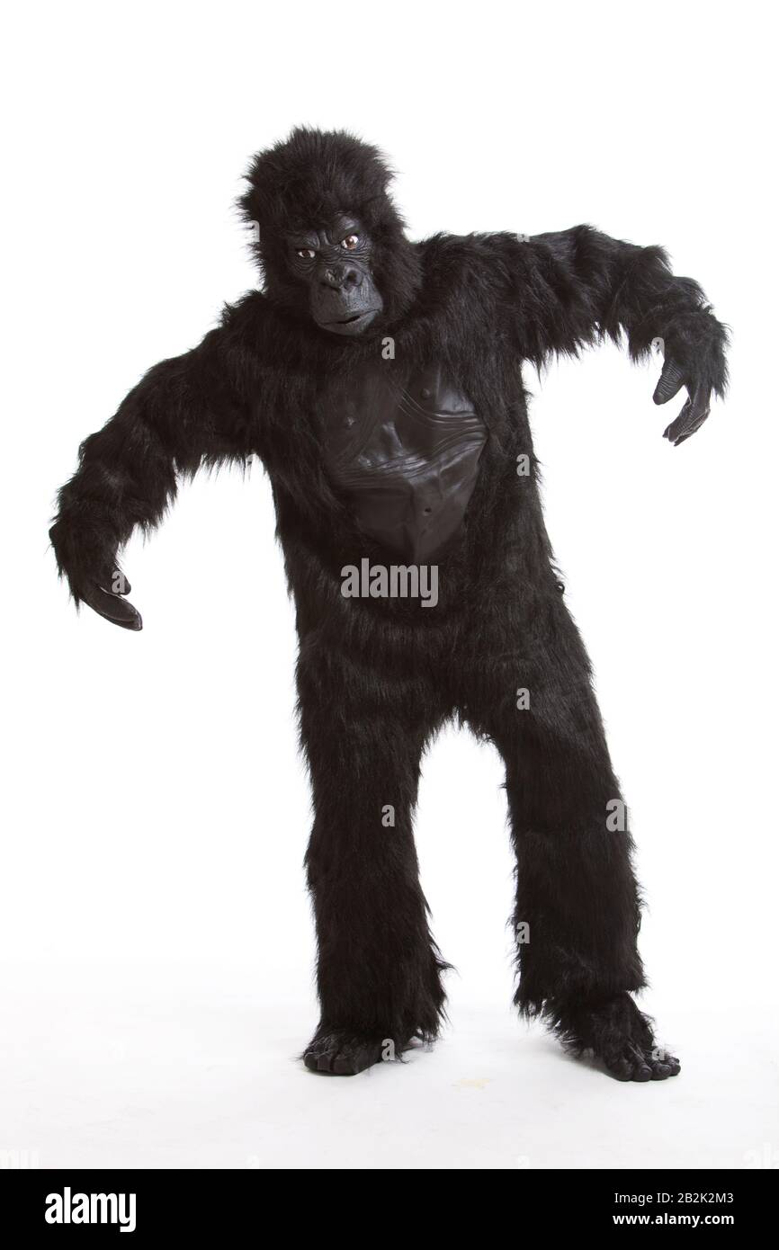 Young man wearing a gorilla costume against white background Stock Photo