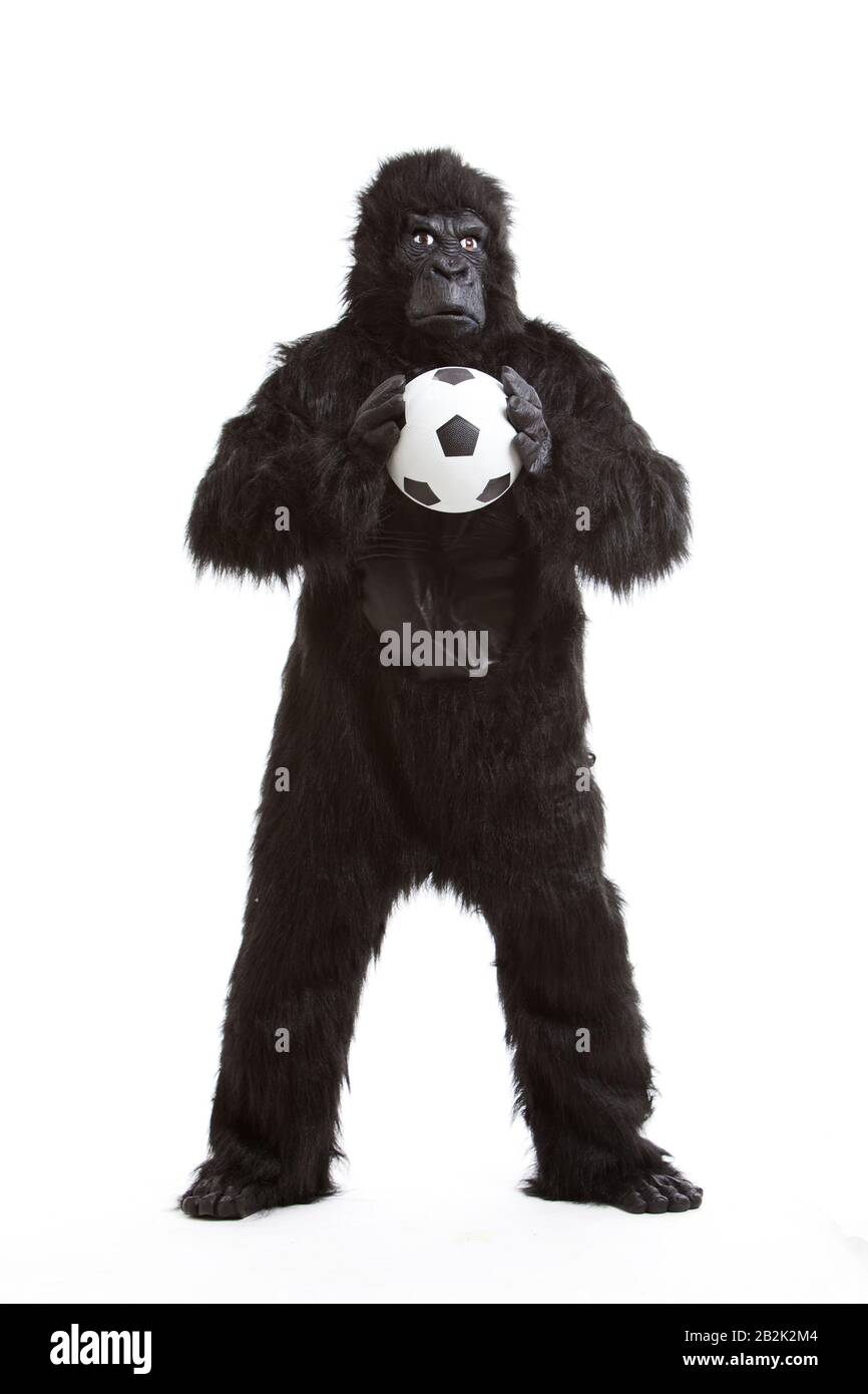 Young man in gorilla costume holding soccer ball against white background Stock Photo