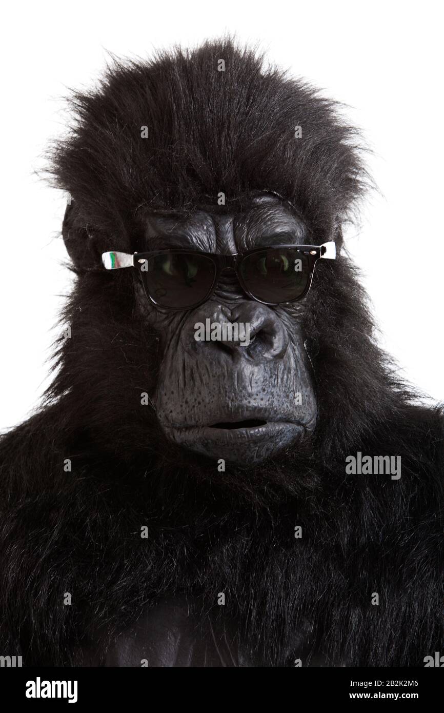 Young man in gorilla costume wearing sunglasses against white background Stock Photo