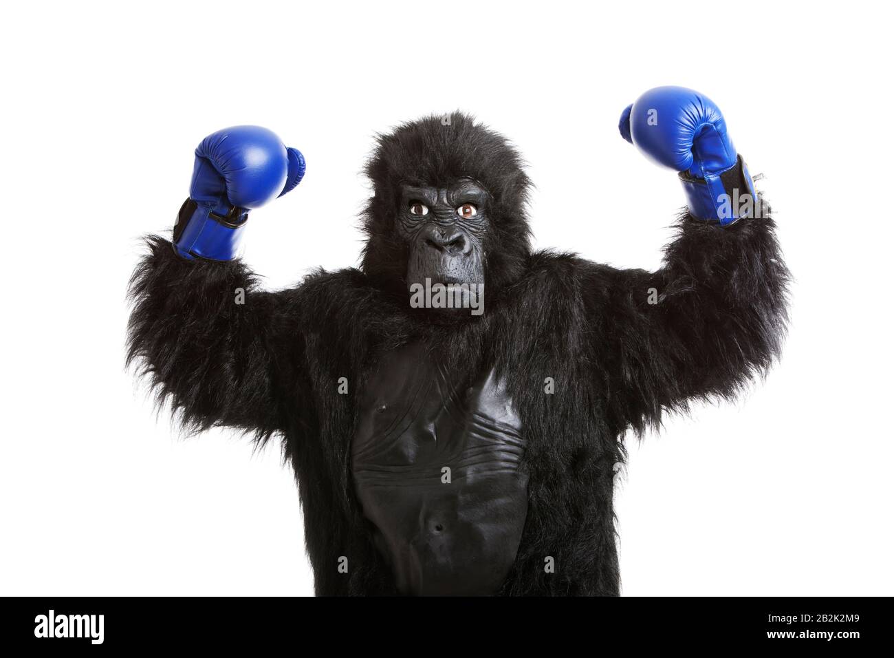 Young man in gorilla costume wearing boxing gloves against white background Stock Photo