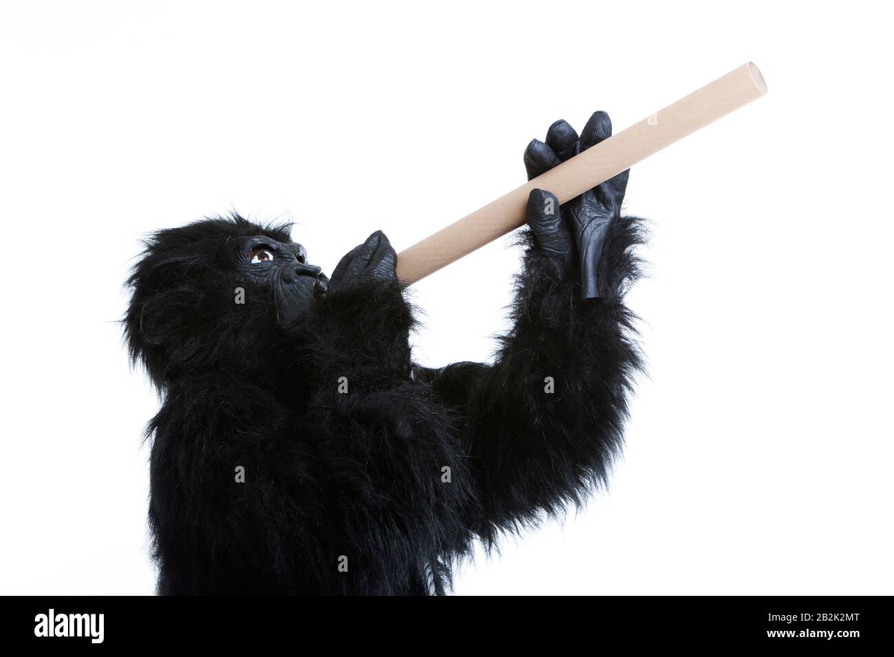 Young man in gorilla costume with rolled paper against white background Stock Photo