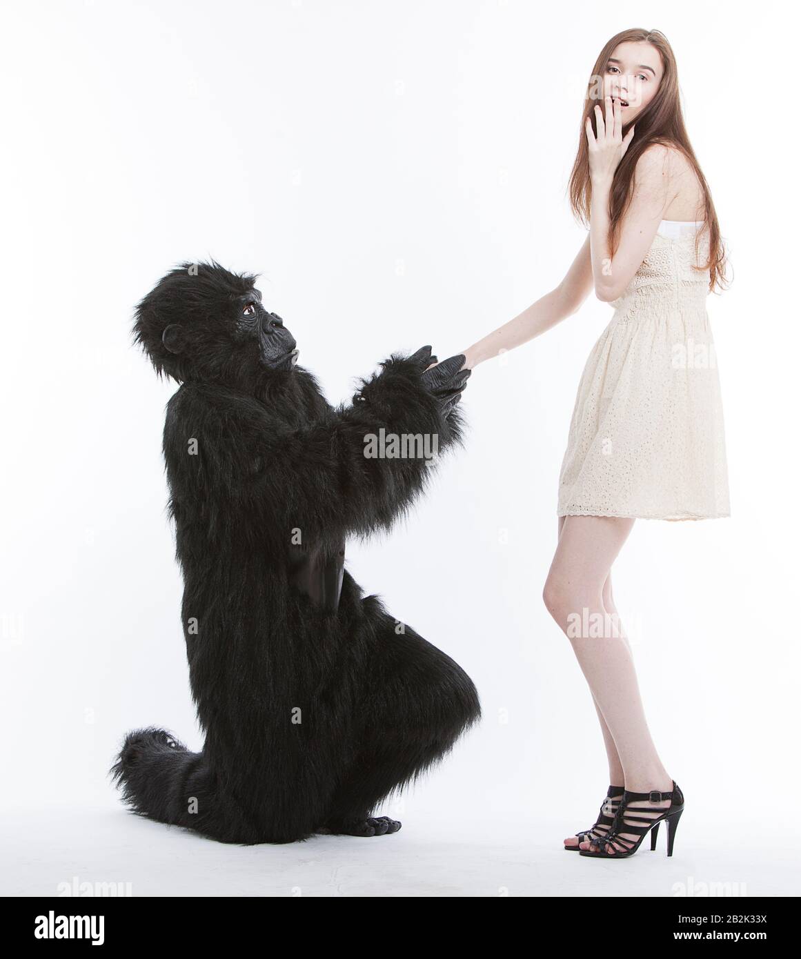 Man in gorilla costume proposing surprised young woman against white background Stock Photo