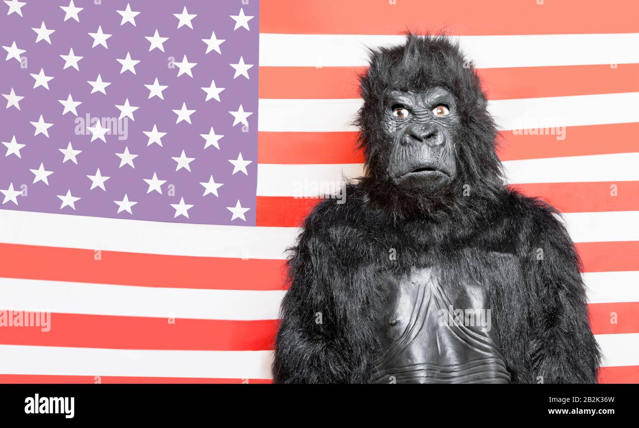Portrait of young man dressed up in gorilla costume against American flag Stock Photo