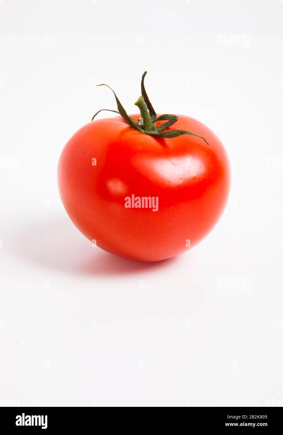 Close-up of tomato over white background Stock Photo