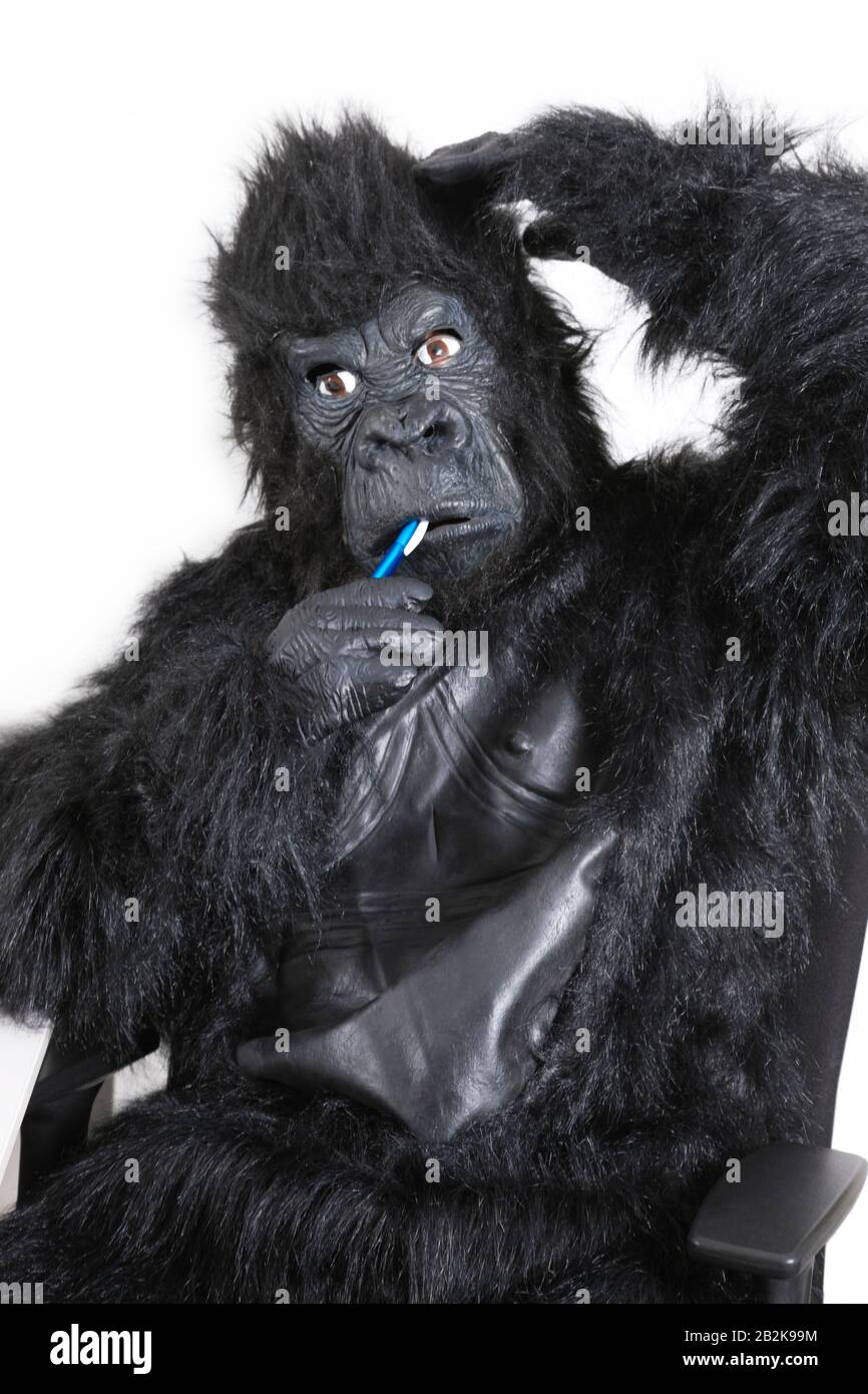 Portrait of young man in gorilla costume brushing teeth against white background Stock Photo