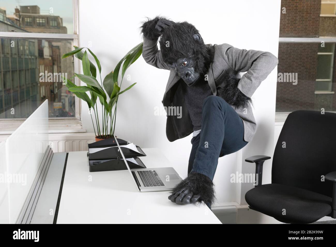Thoughtful young man in gorilla costume looking at laptop at office Stock Photo