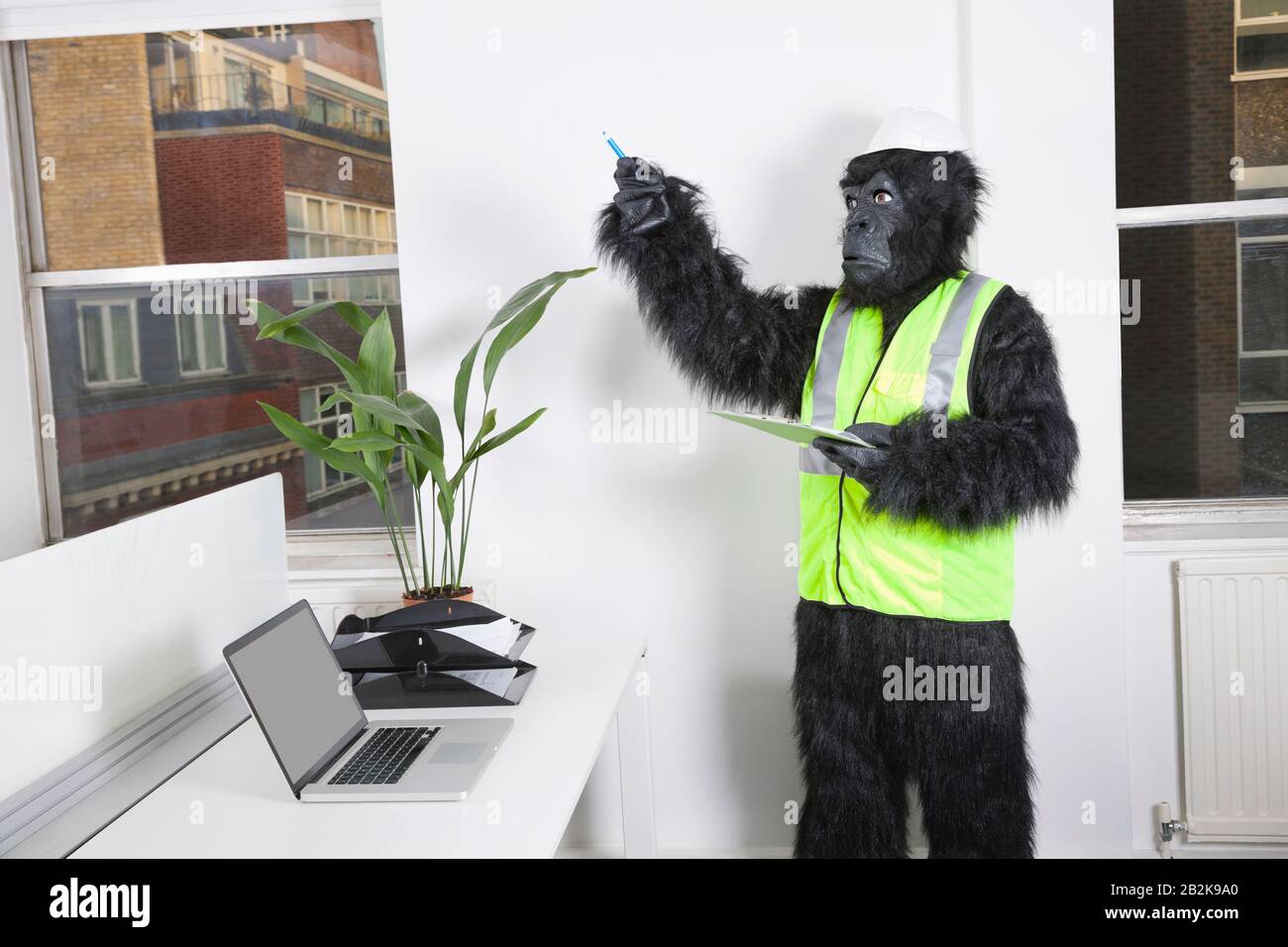 Young male engineer in gorilla costume and safety wear pointing towards window Stock Photo
