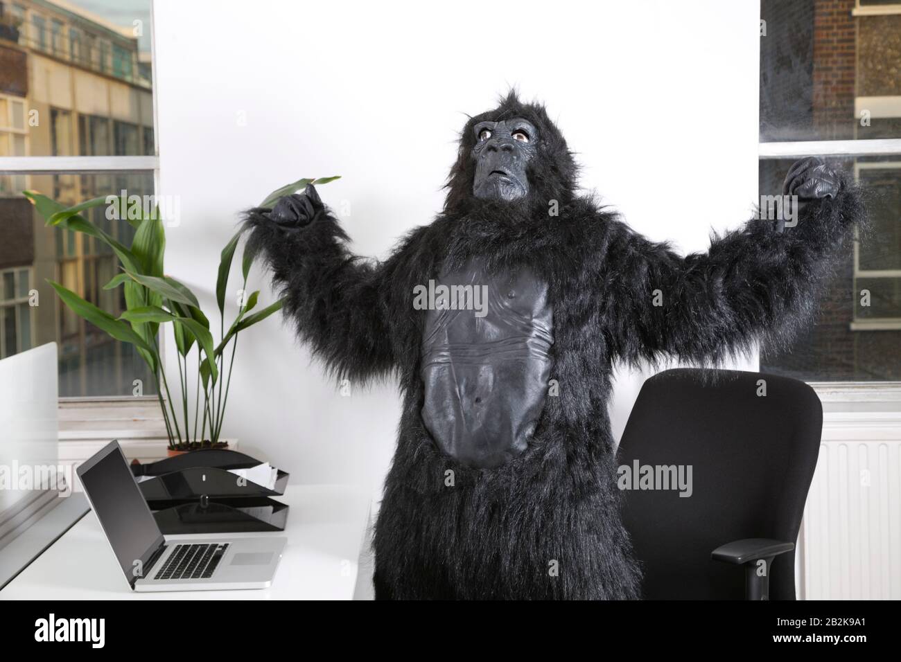 Angry young man in gorilla costume looking up at office Stock Photo