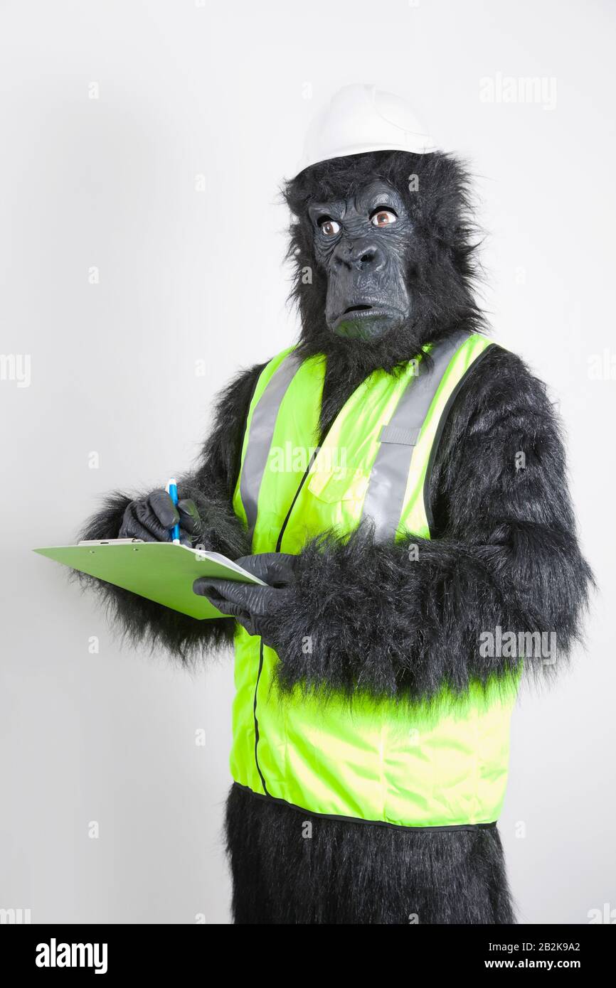 Young male engineer in gorilla costume and safety wear against white background Stock Photo