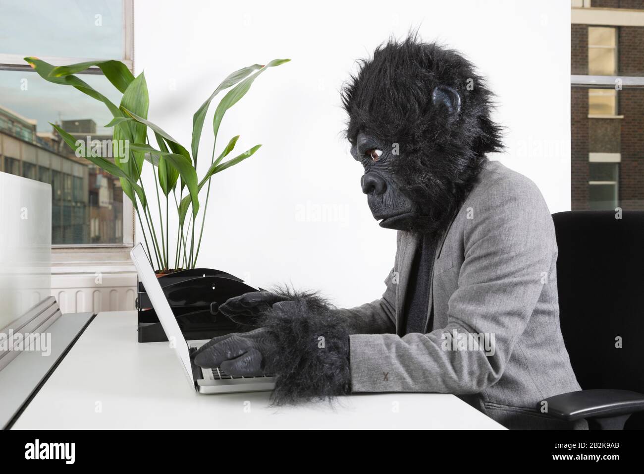 Side view of young man in gorilla mask using laptop at office Stock Photo