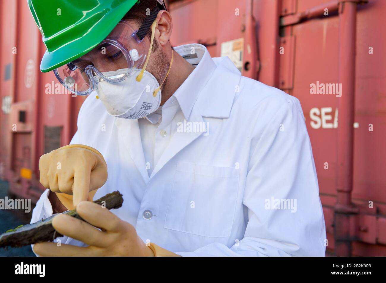 Safety inspector holding biological material Stock Photo