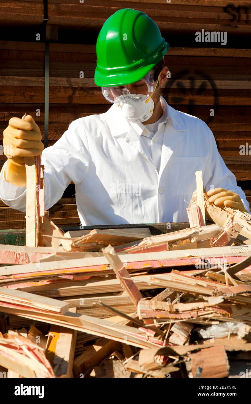 Safety inspector holding broken pieces of wood Stock Photo