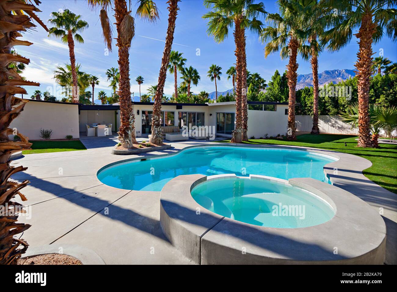 Residential pool with palm trees Stock Photo Alamy