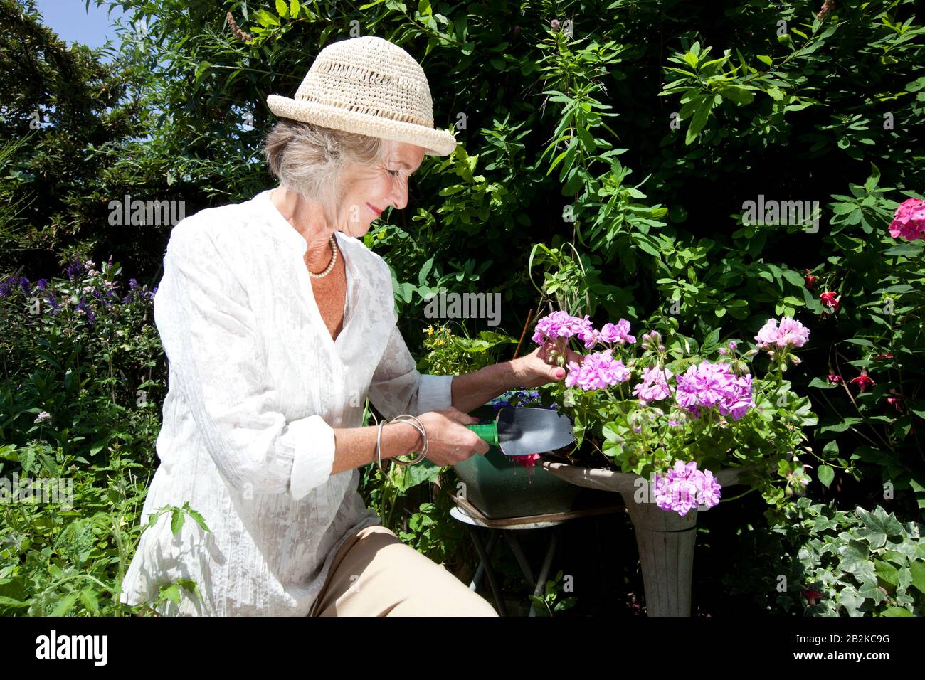 Happy senior woman gardening in backyard Stock Photo - Alamy
