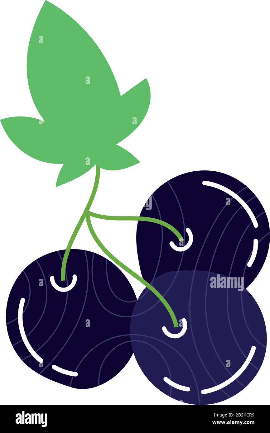 blueberry exotic fruits flat style Stock Vector Image & Art Alamy