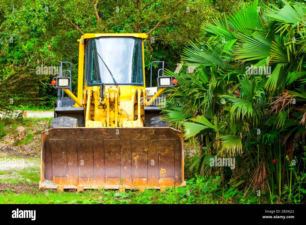 Heavy Bulldozer Used For Deforestation In Ecuadorian Jungle Stock Photo