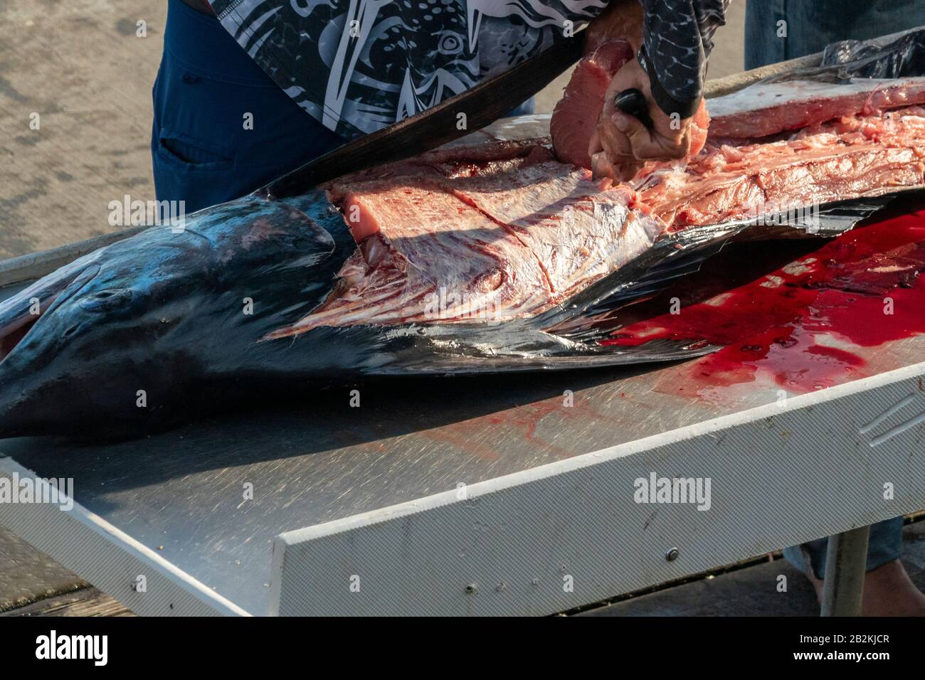 fisherman hands cutting a fresh marlin detail Stock Photo