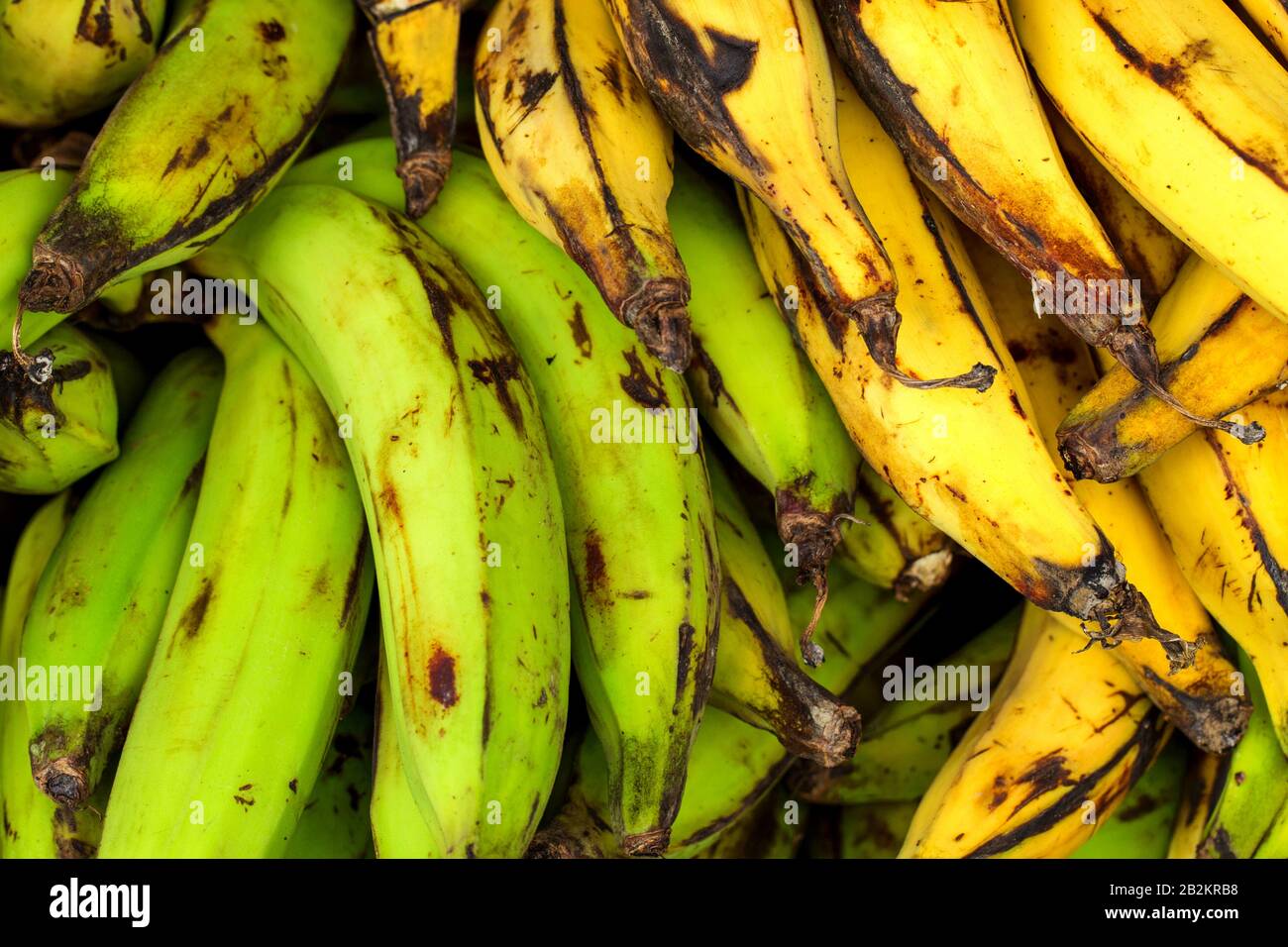 Different Types Of Bananas Displayed In The Market Stock Photo