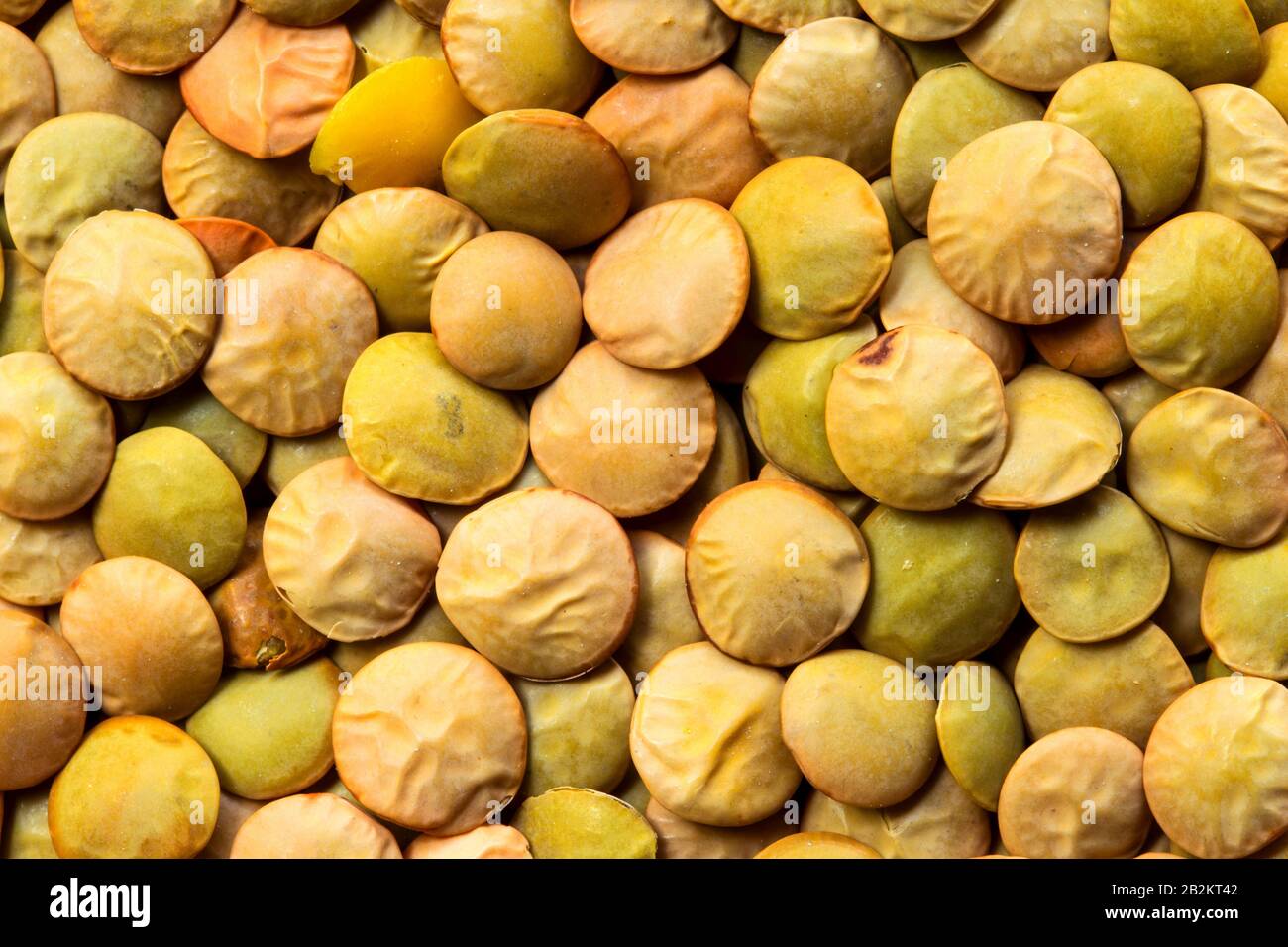 The Lentil Lens Culinaris It Is A Bushy Annual Plant Of The Legume Family Grown For Its Lens Shaped Seeds Stock Photo