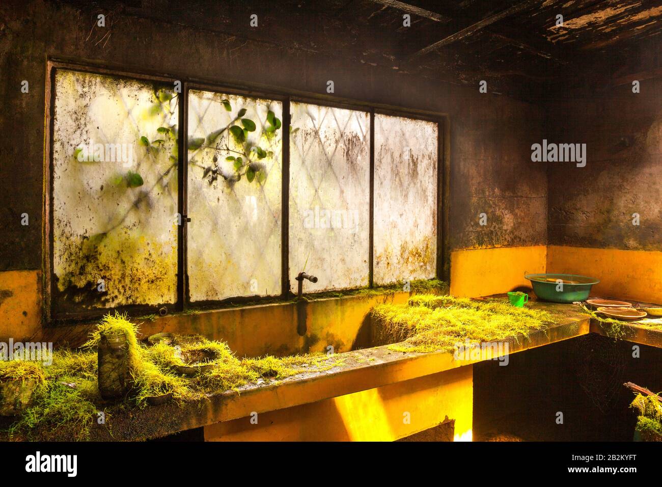 Prototype Kitchen Fine Irony For Vegetarians Stock Photo Alamy