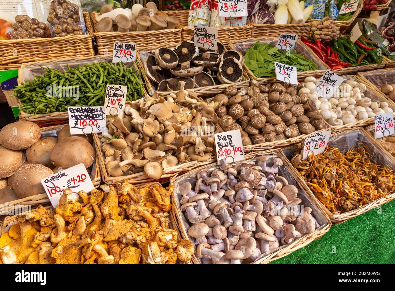 Varieties of mushrooms on a stall in Borough Market, London, UK Stock Photo