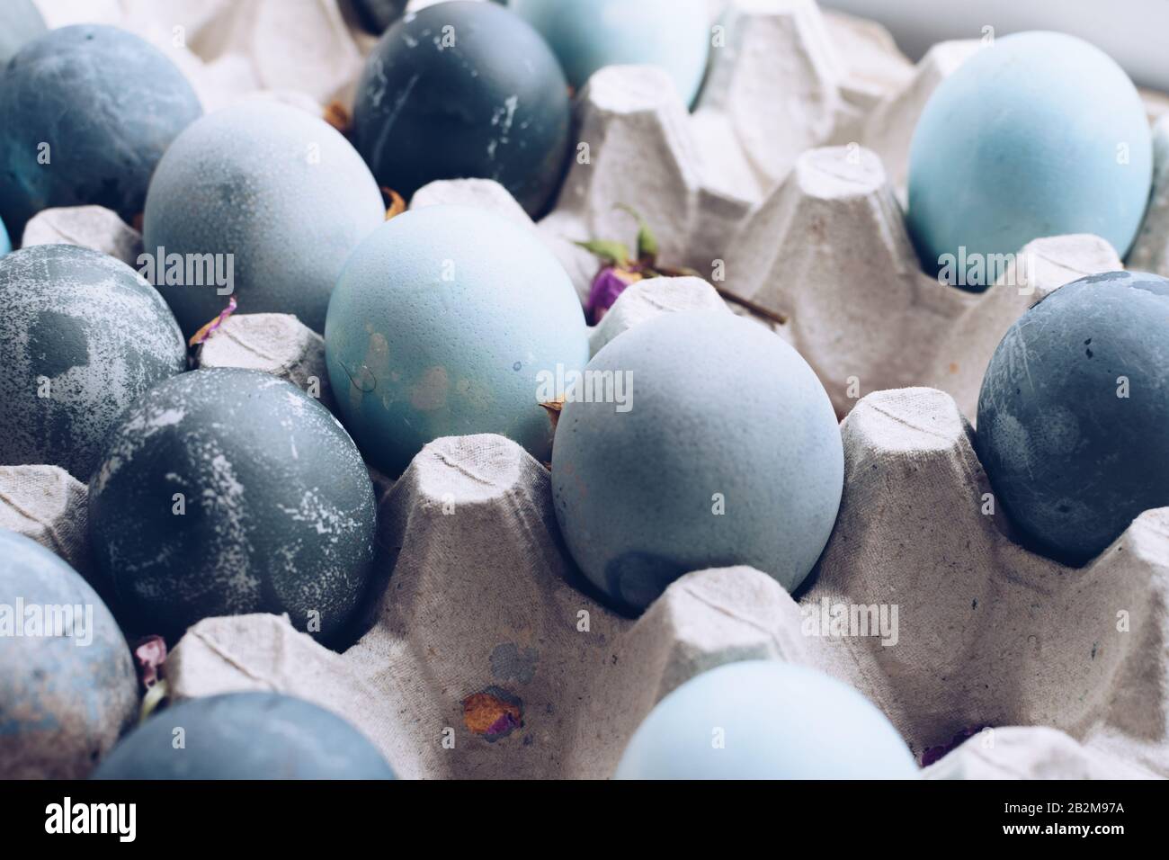 Blue Easter eggs with pink flowers. Easter composition on grey concrete ...
