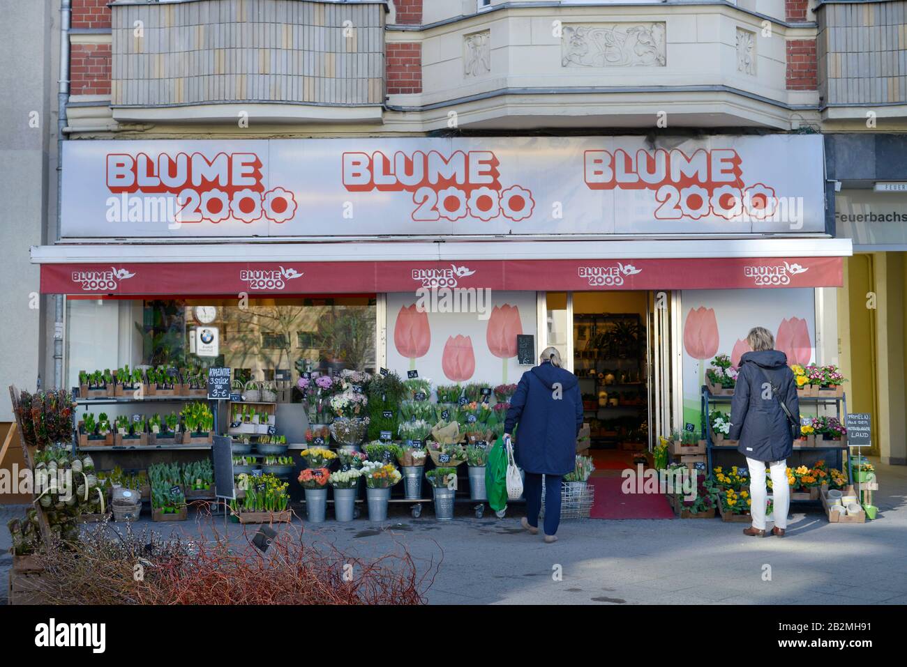 Blume 2000 Berlin Die seite blume 2000 berlin kranoldplatz wird durch