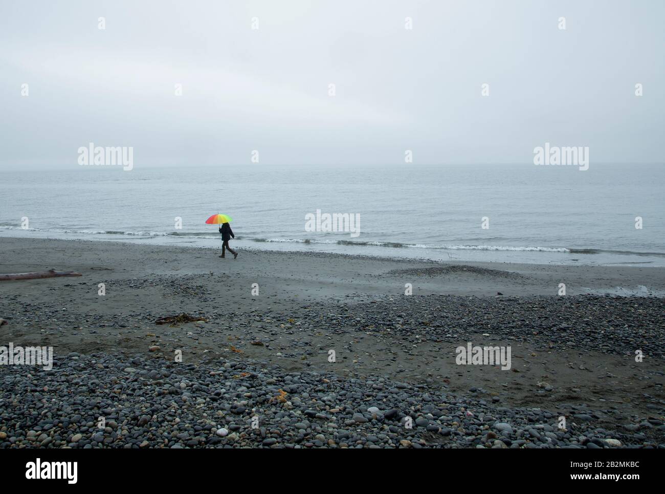 A misty day at French beach, Vancouver Island Stock Photo