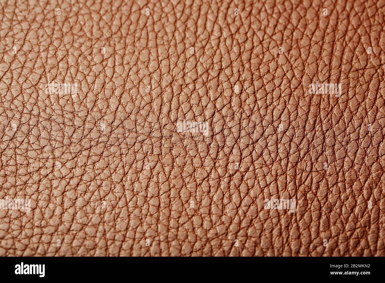 Brown leather texture as an abstract background, beautiful pattern texture Full screen, top view Stock Photo