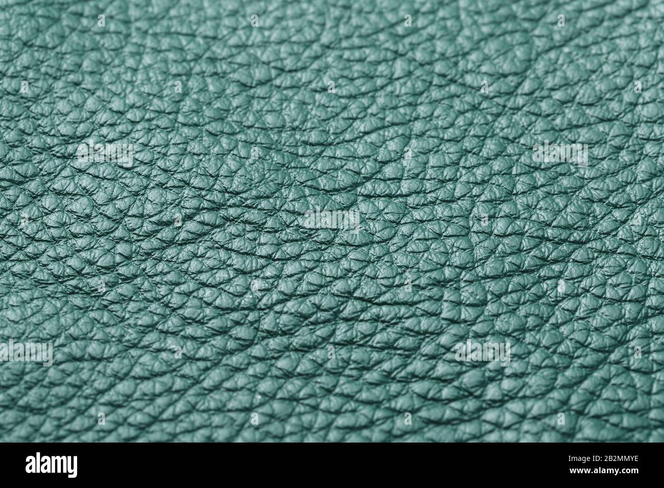 Green textured leather closeup. Full frame, close up. Macro Stock Photo