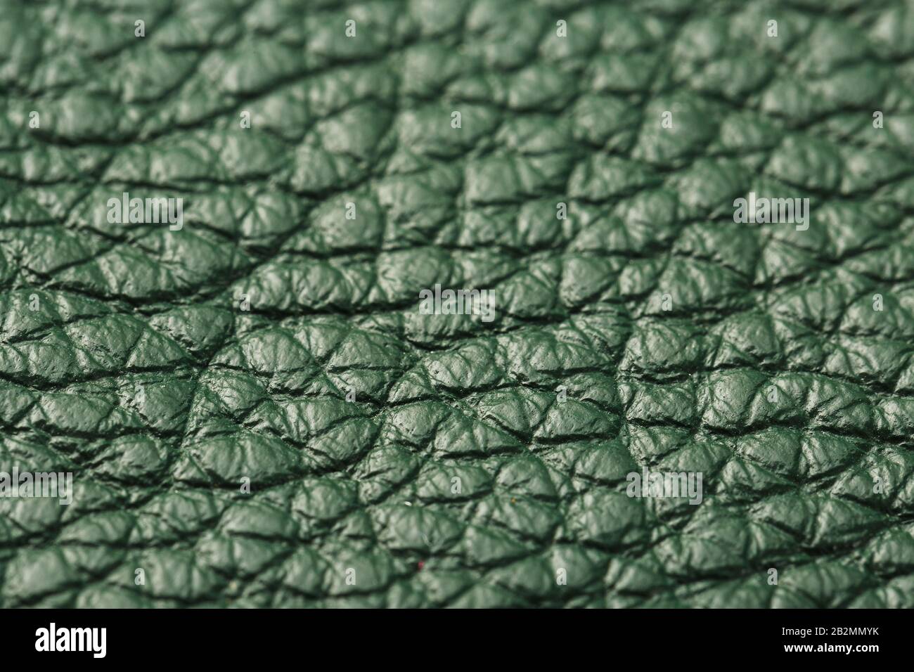 Green textured leather closeup. Full frame, close up. Macro Stock Photo