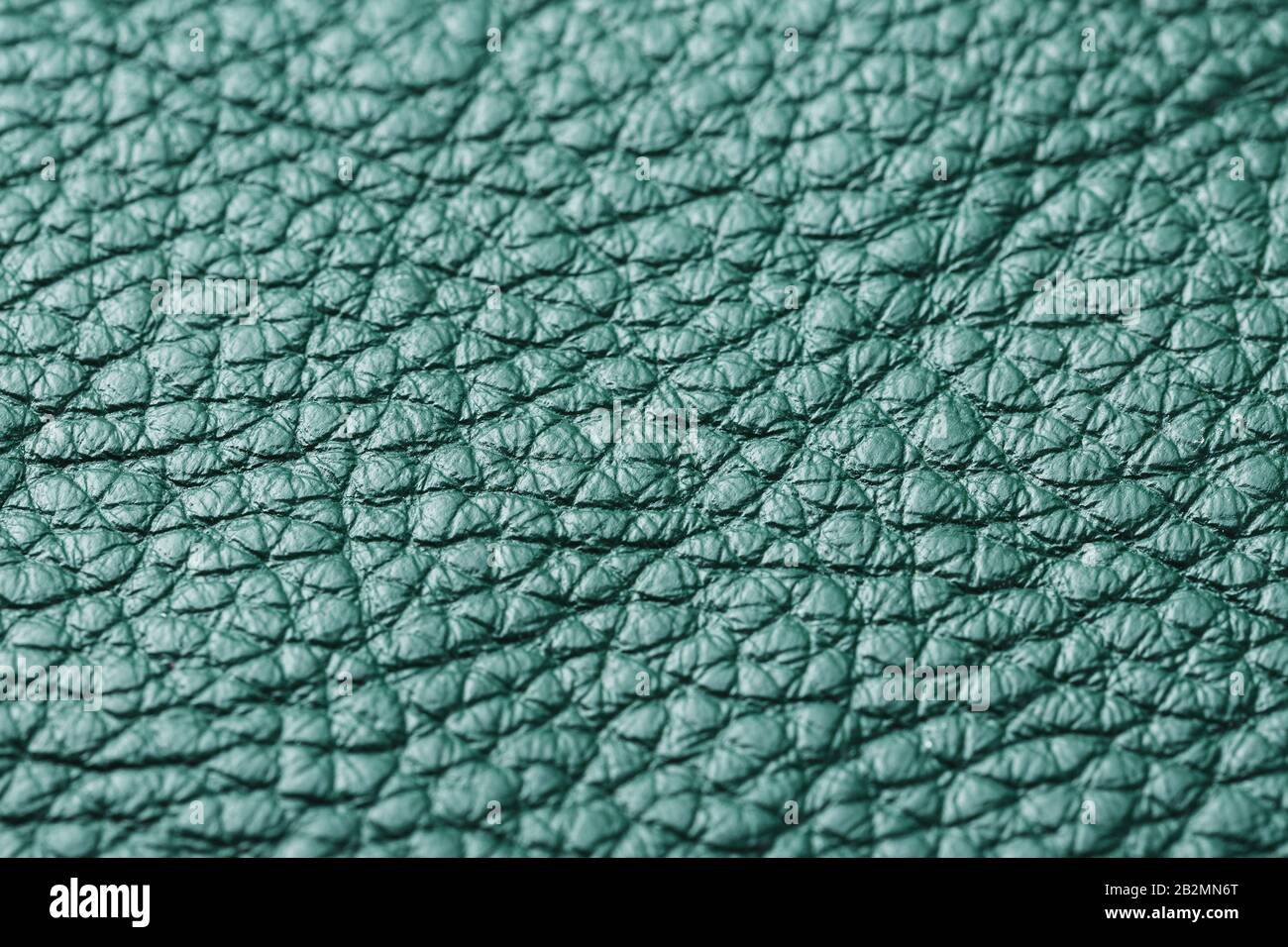 Green textured leather closeup. Full frame, close up. Macro Stock Photo