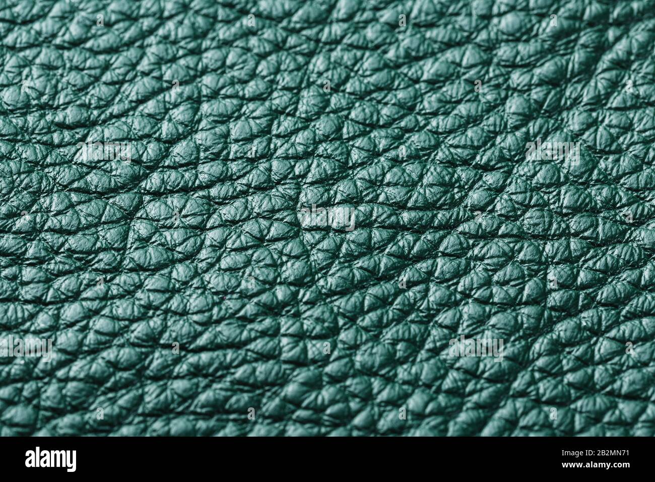 Green textured leather closeup. Full frame, close up. Macro Stock Photo