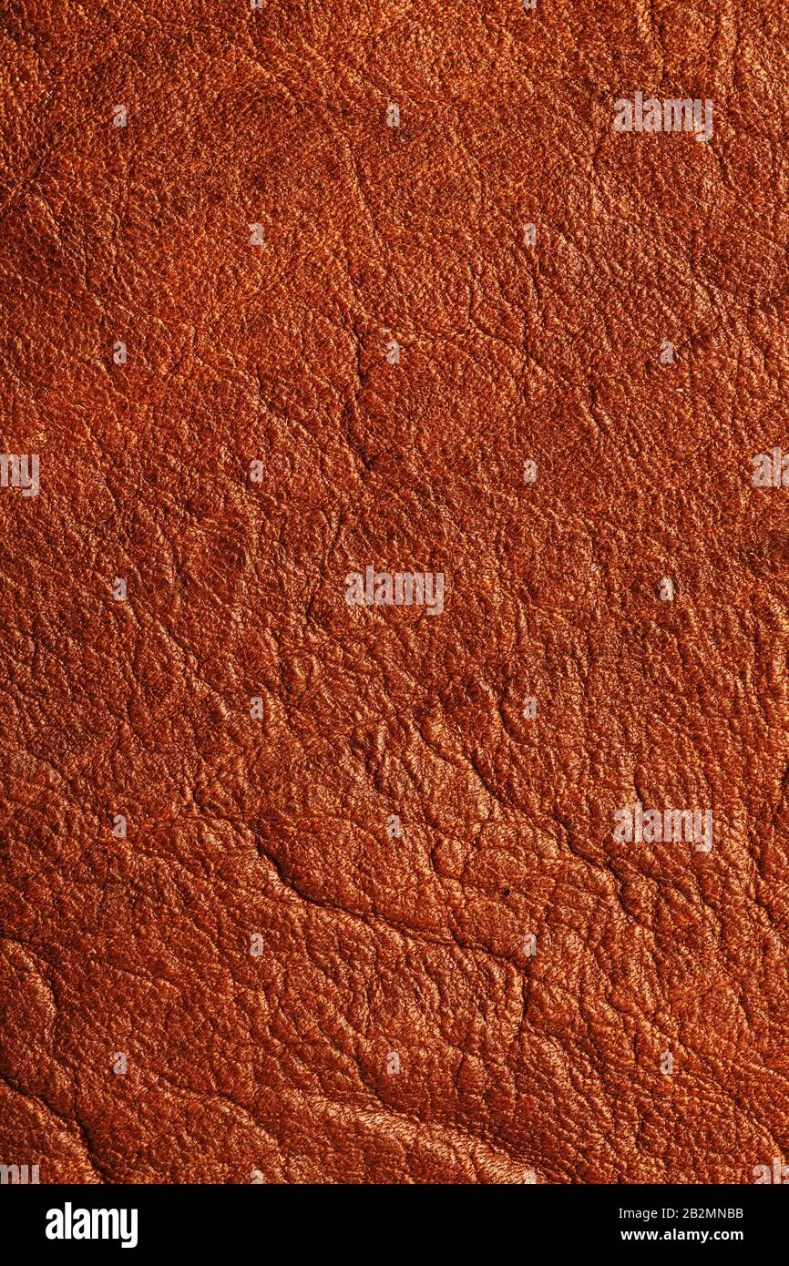 Brown Textured Leather Closeup. Full frame, close up. Macro Stock Photo
